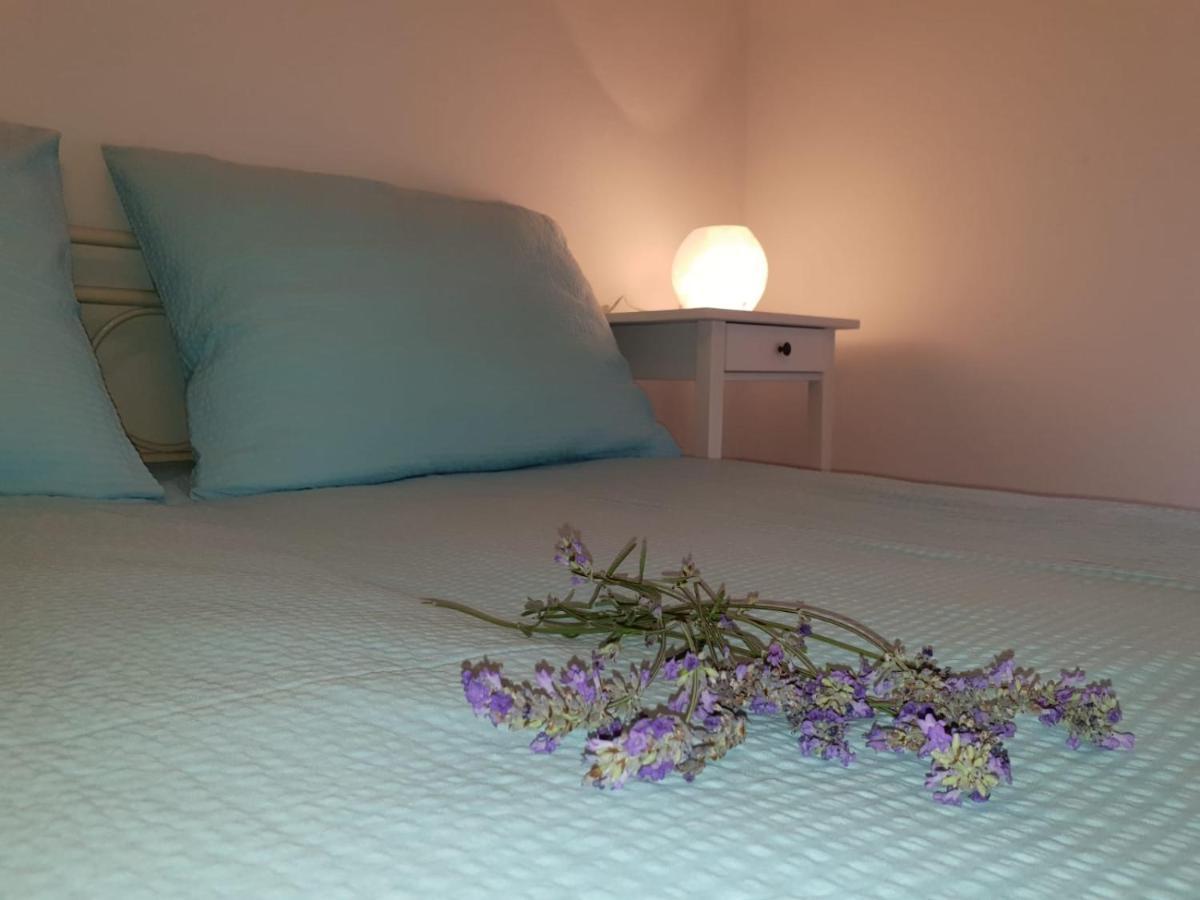 Apartments Jaca Banjol Dış mekan fotoğraf